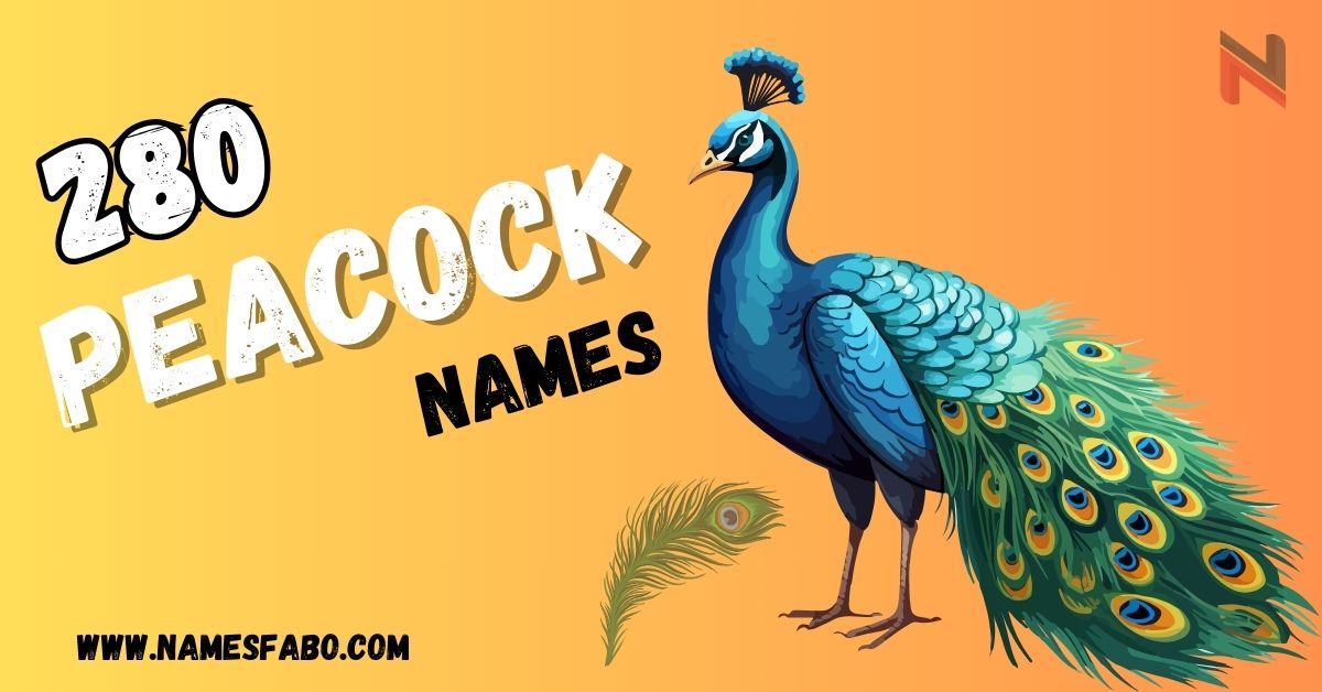 Peacock Names