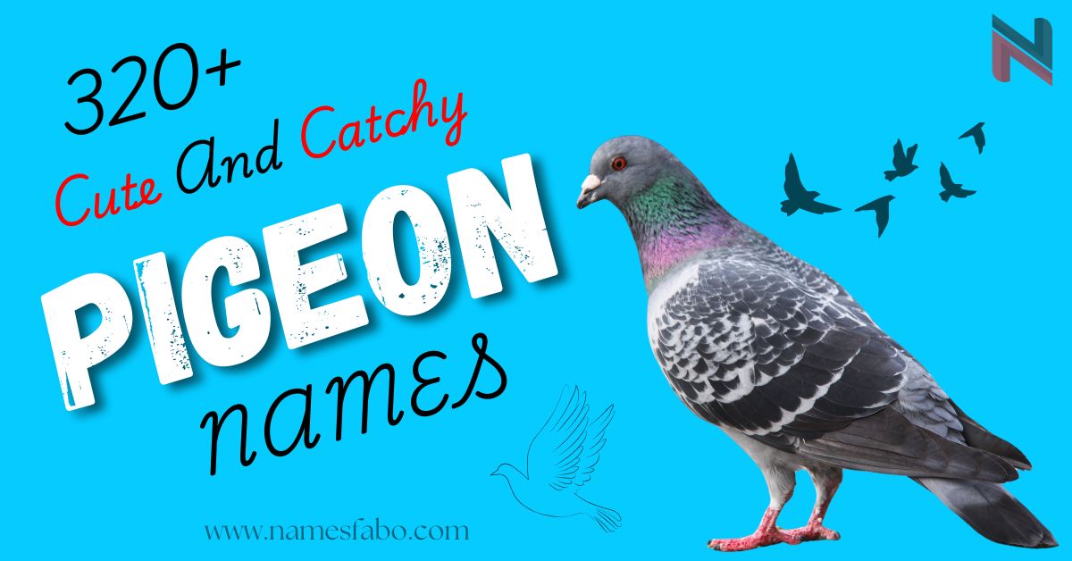 Pigeon Names