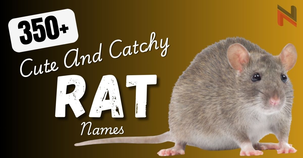 Rat Names