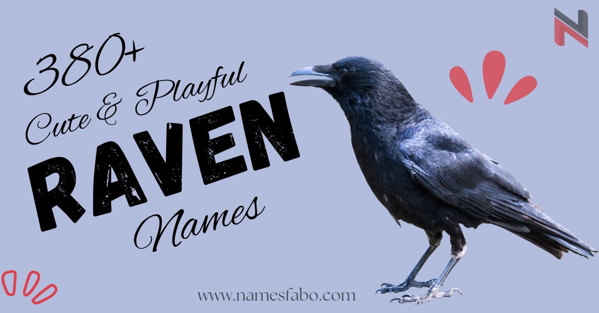 Raven Names