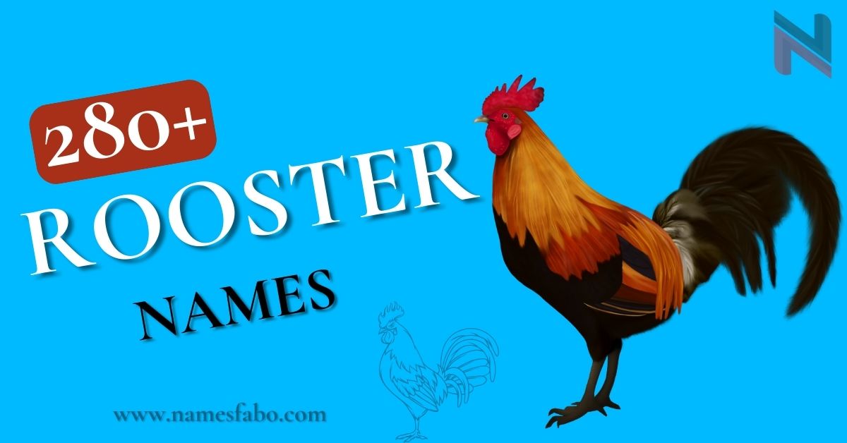 Rooster Names