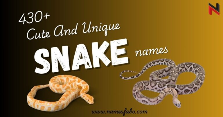 430+ Cute And Unique Snake Names With Name Generator