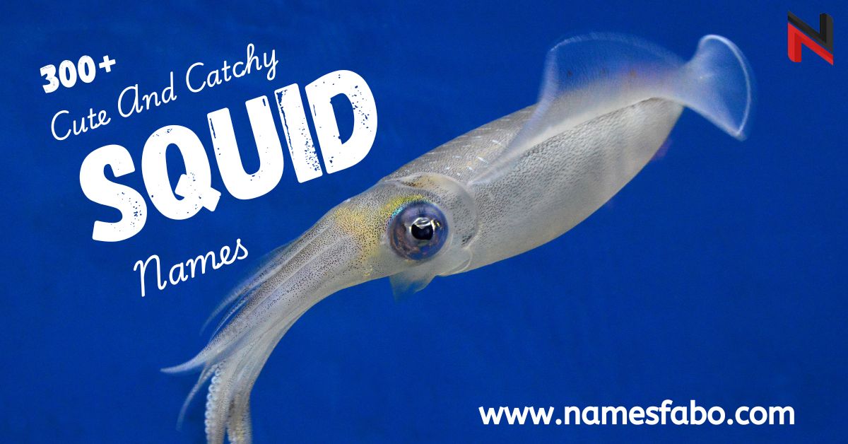 Squid Names