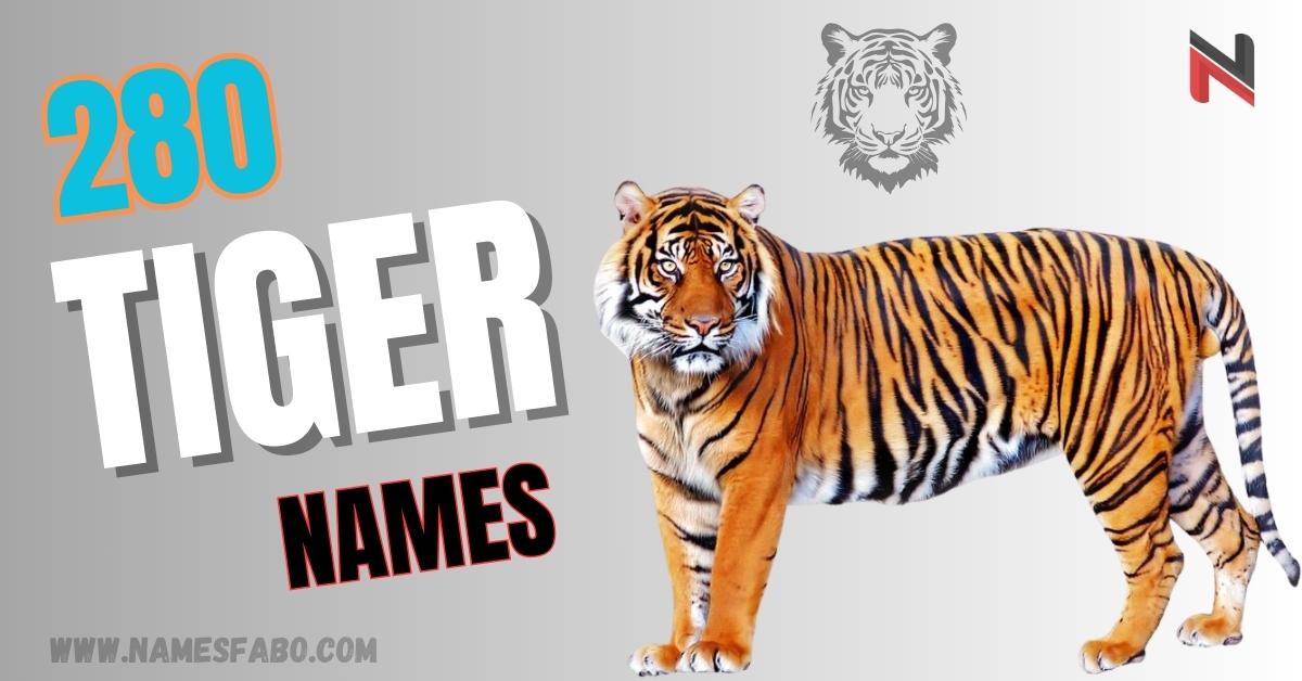 280+ Cool And Catchy Tiger Names With Generator