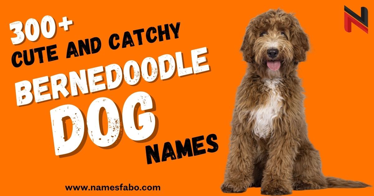 Bernedoodle Dog Names