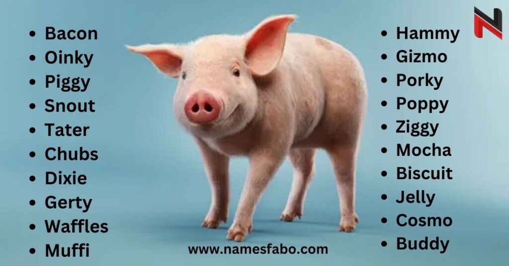 Best Pig Names