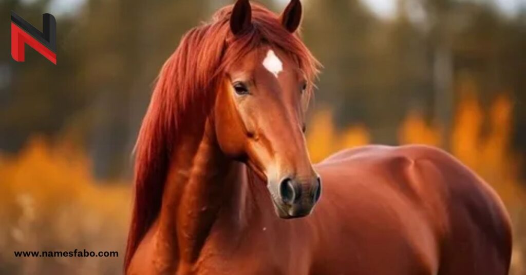 Best Red Horse Names