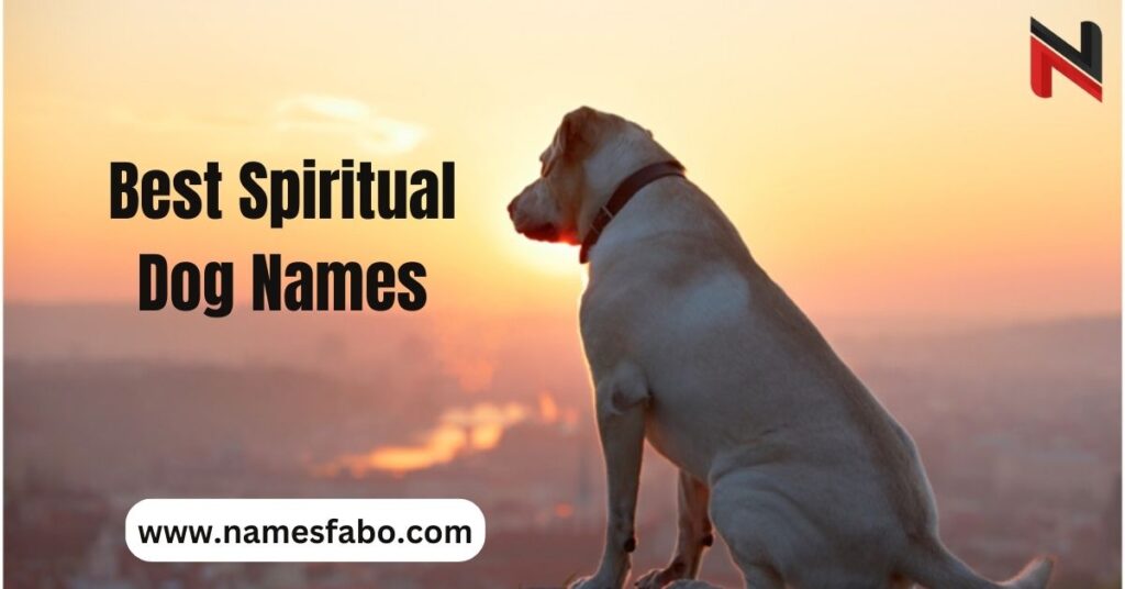 Best Spiritual Dog Names