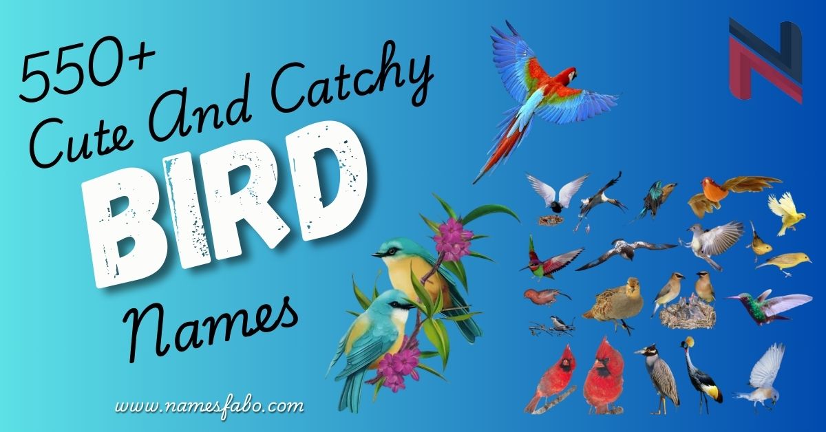 550+ Cute And Catchy Bird Names With Bird Name Generator