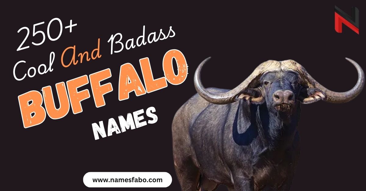 Buffalo Names