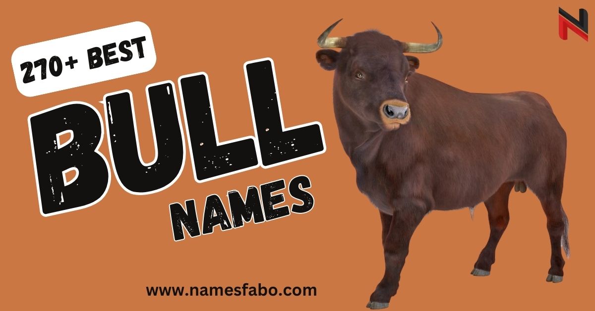 270+ Best Bull Names With Meaning + Ai Generator