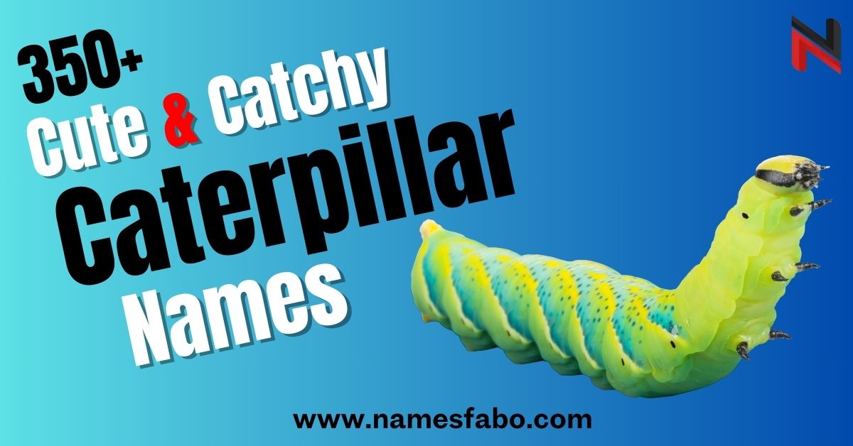 Caterpillar Names