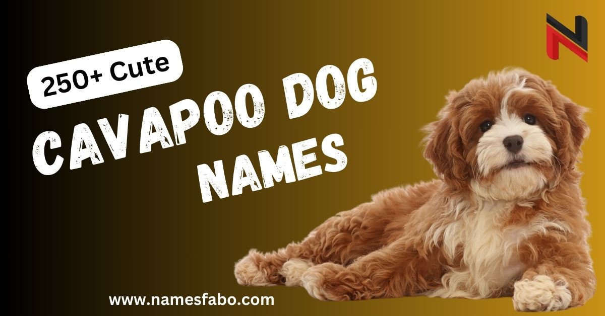 Cavapoo Dog Names