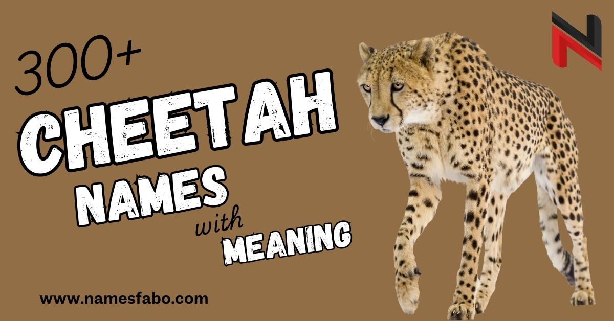 Cheetah Names