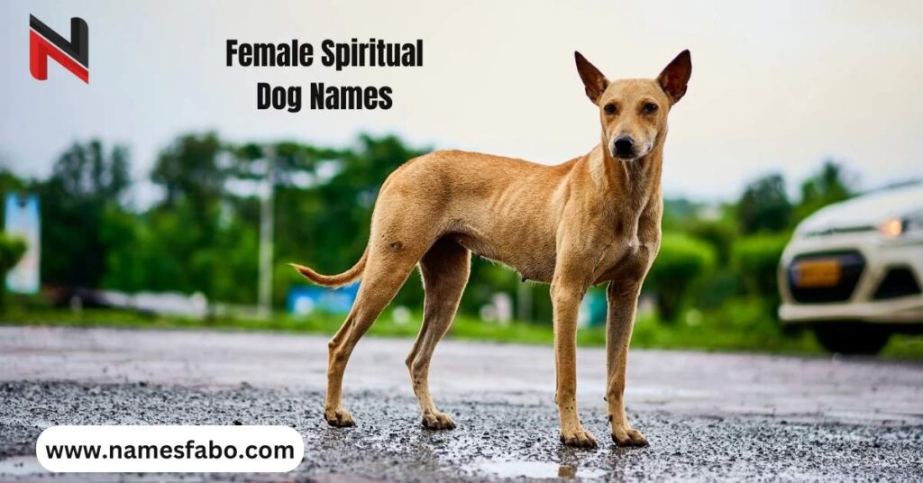 Female Spiritual Dog Names