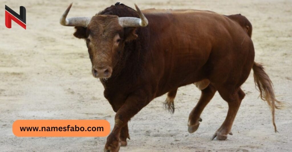 Funny Bull Names