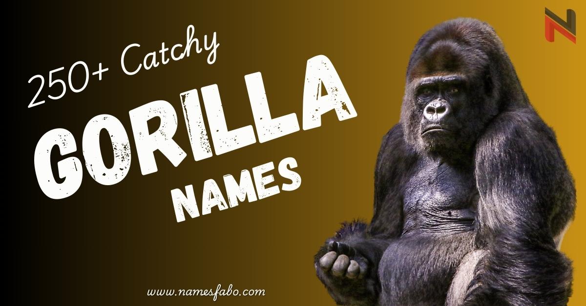 Gorilla Names