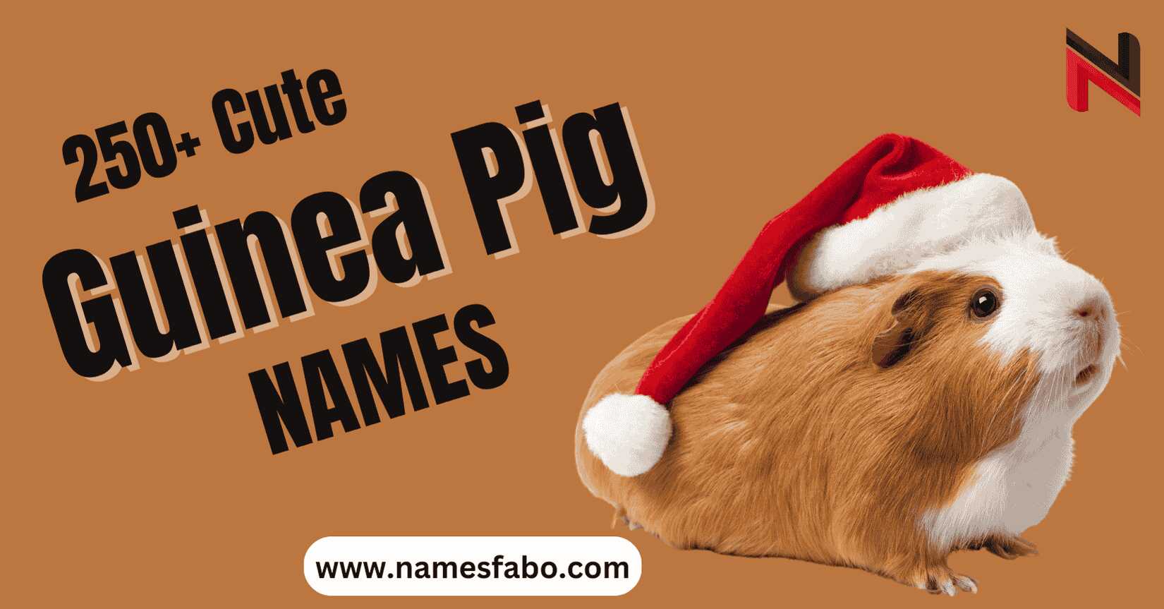 Guinea Pig Names