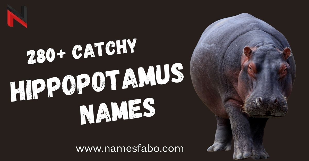 Hippopotamus Names