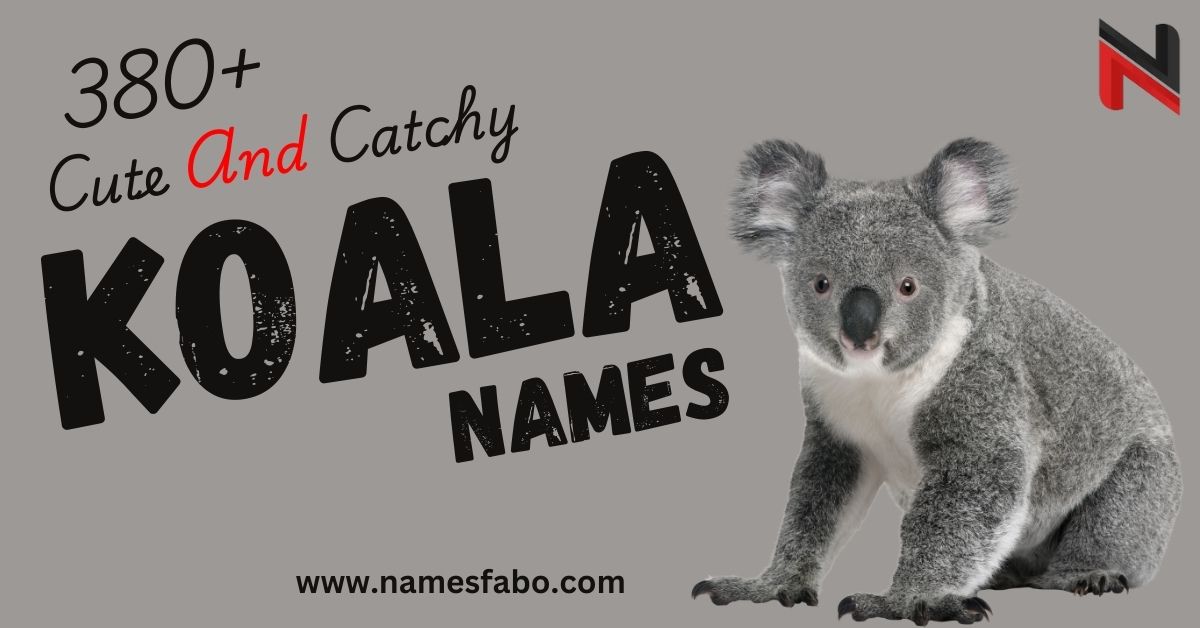 Koala Names