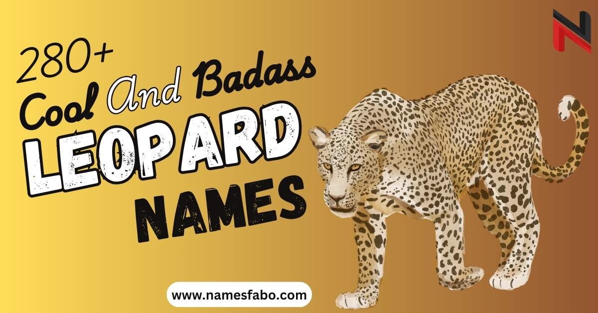 Leopard Names