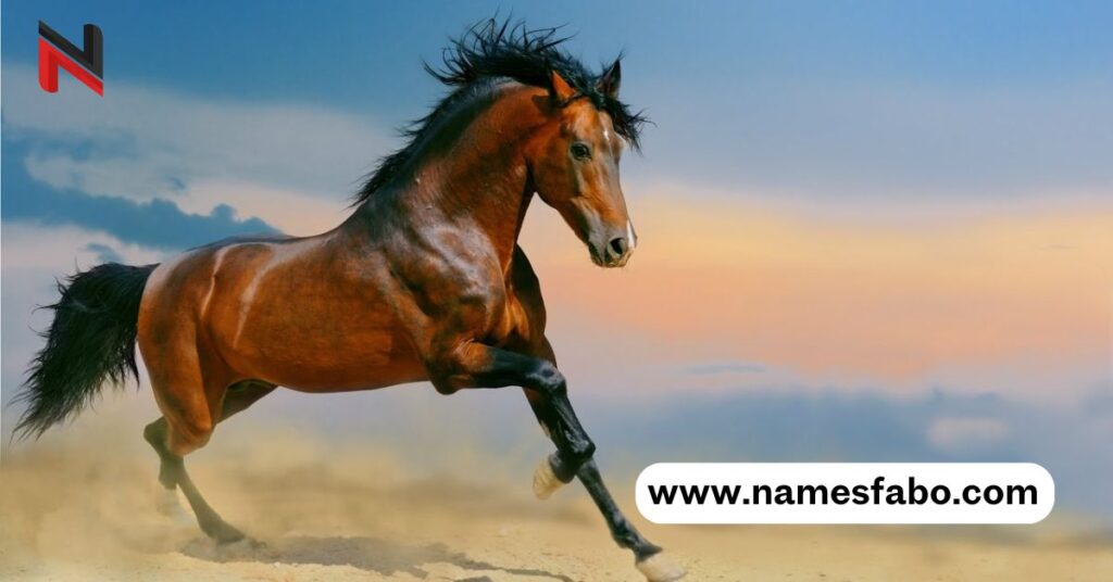 Male Red Horse Names