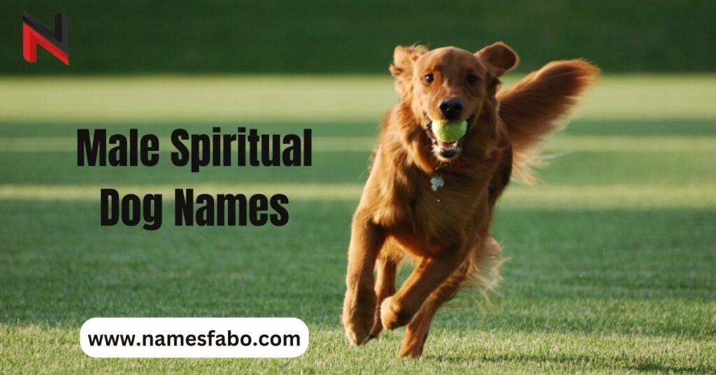 Male Spiritual Dog Names