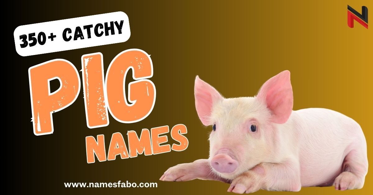 Pig Names