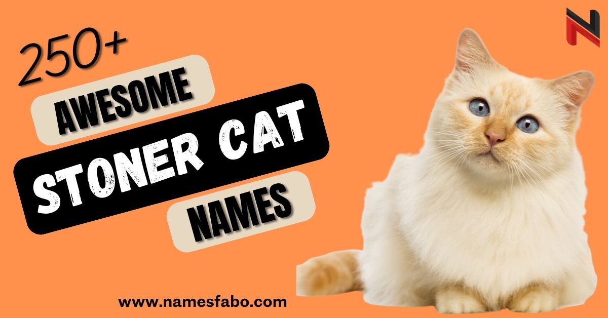 Stoner Cat Names