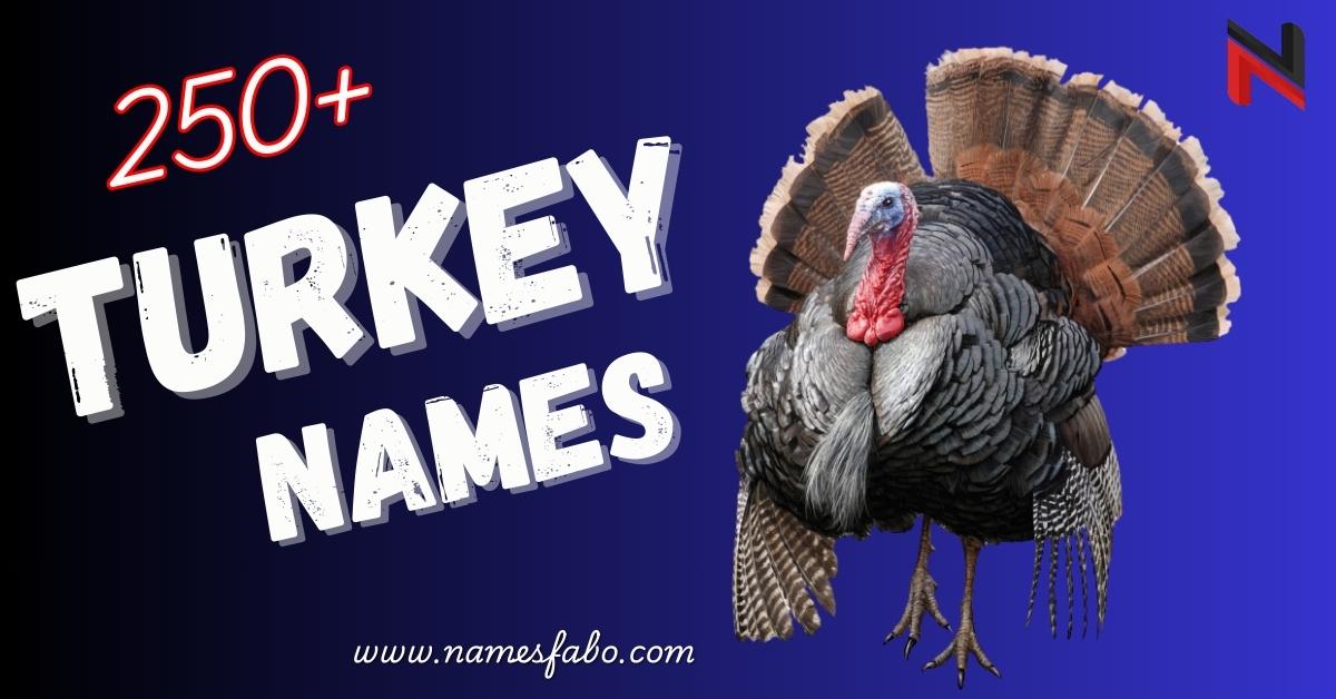 Turkey Names