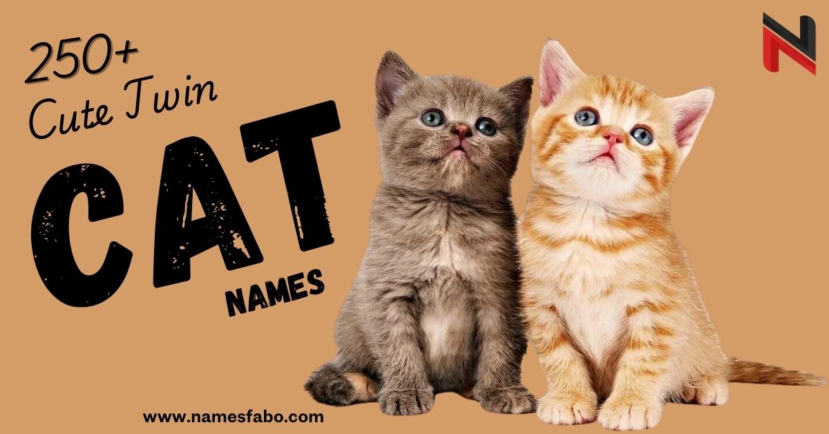 Twin Cat Names