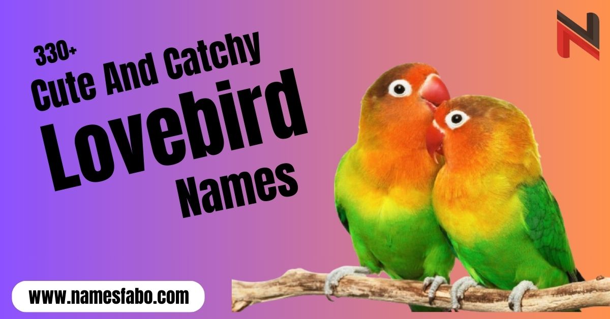 Lovebird Names