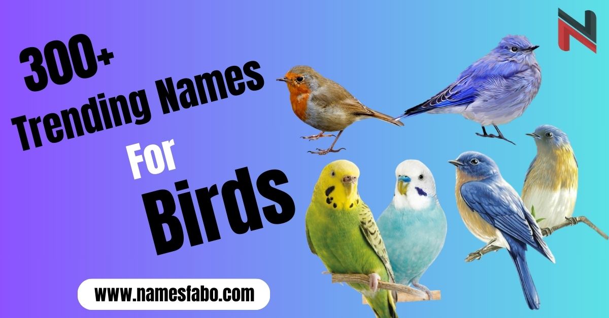 Trending Names For Birds