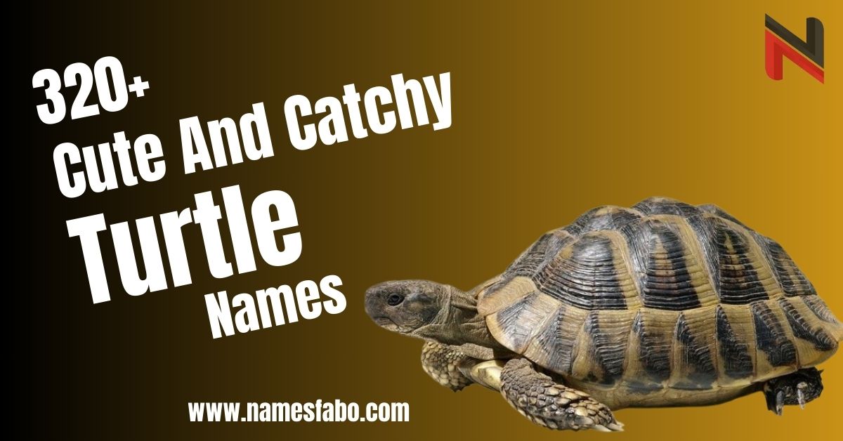 Turtle Names