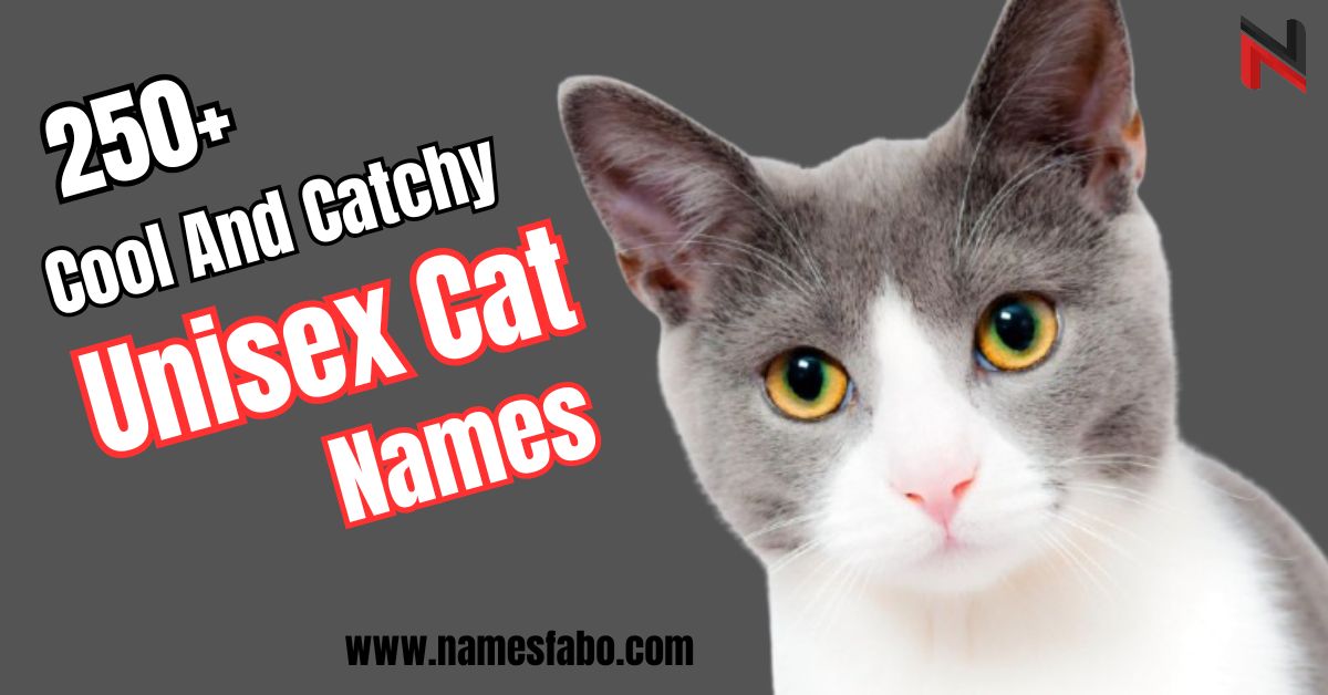 Unisex Cat Names