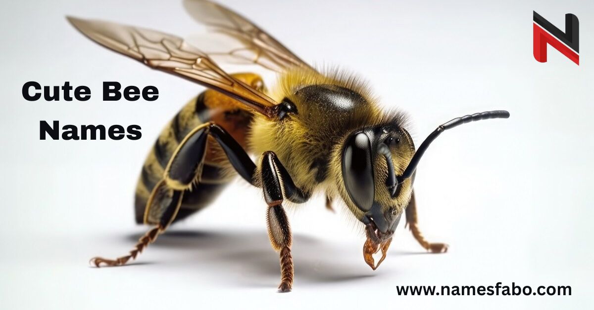 bee names