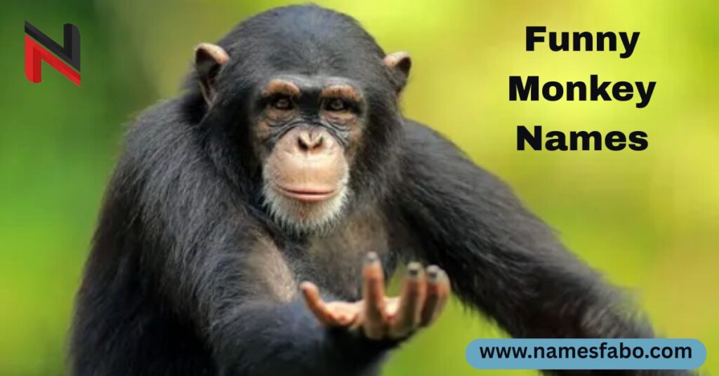 Funny Monkey Names