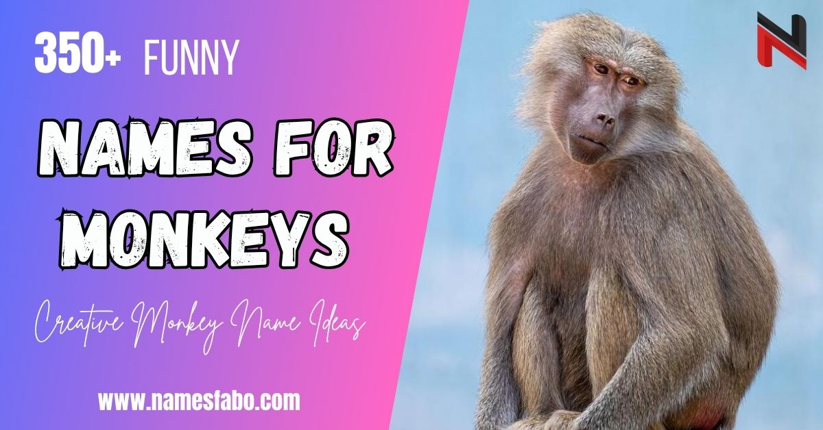 monkey names