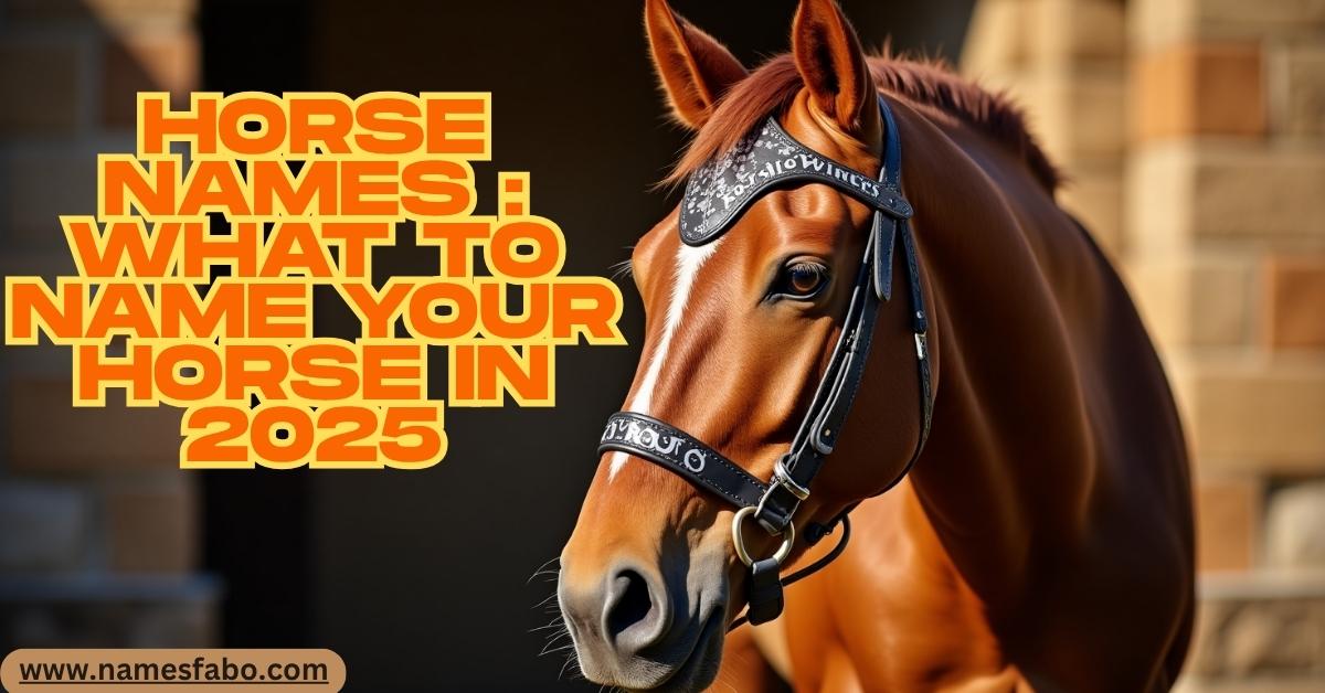 Elegant horse with a nameplate showcasing trending horse names for 2025